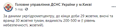 Спасатели предупредили киевлян о сильном тумане. Скриншот: ГСЧС