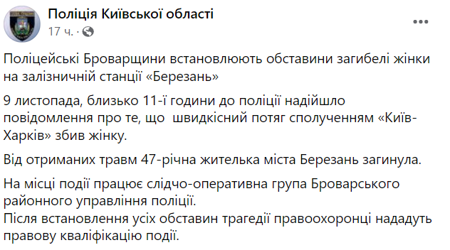 Под Киевом скоростной поезд насмерть сбил 47-летнюю женщину 